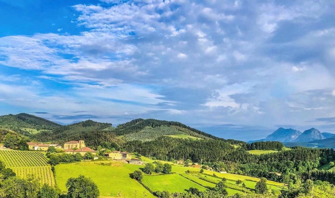 Casa Rural Etxano アモレビエタ・エチャノ エクステリア 写真